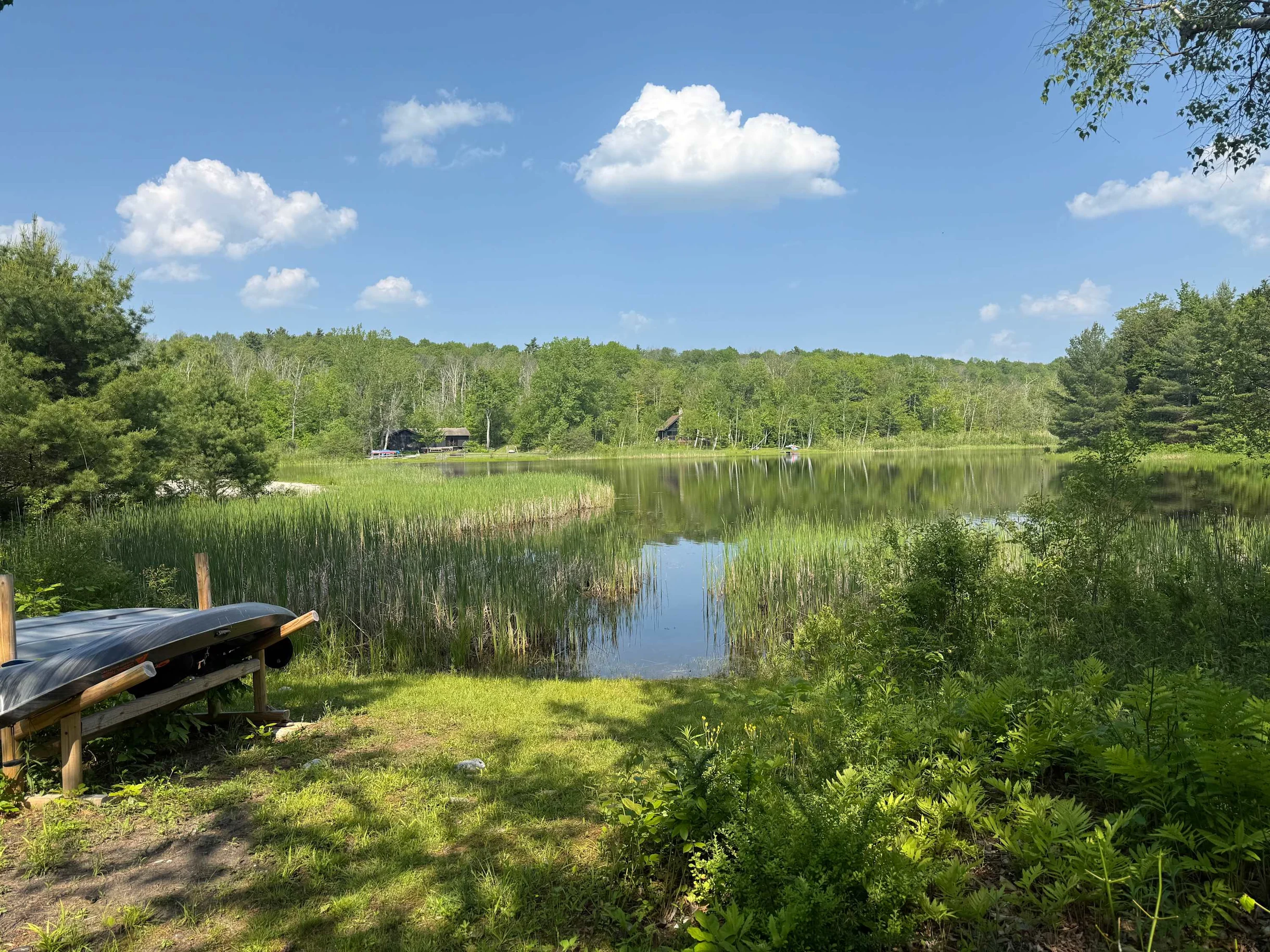 Wander Berkshires Lakeside #52