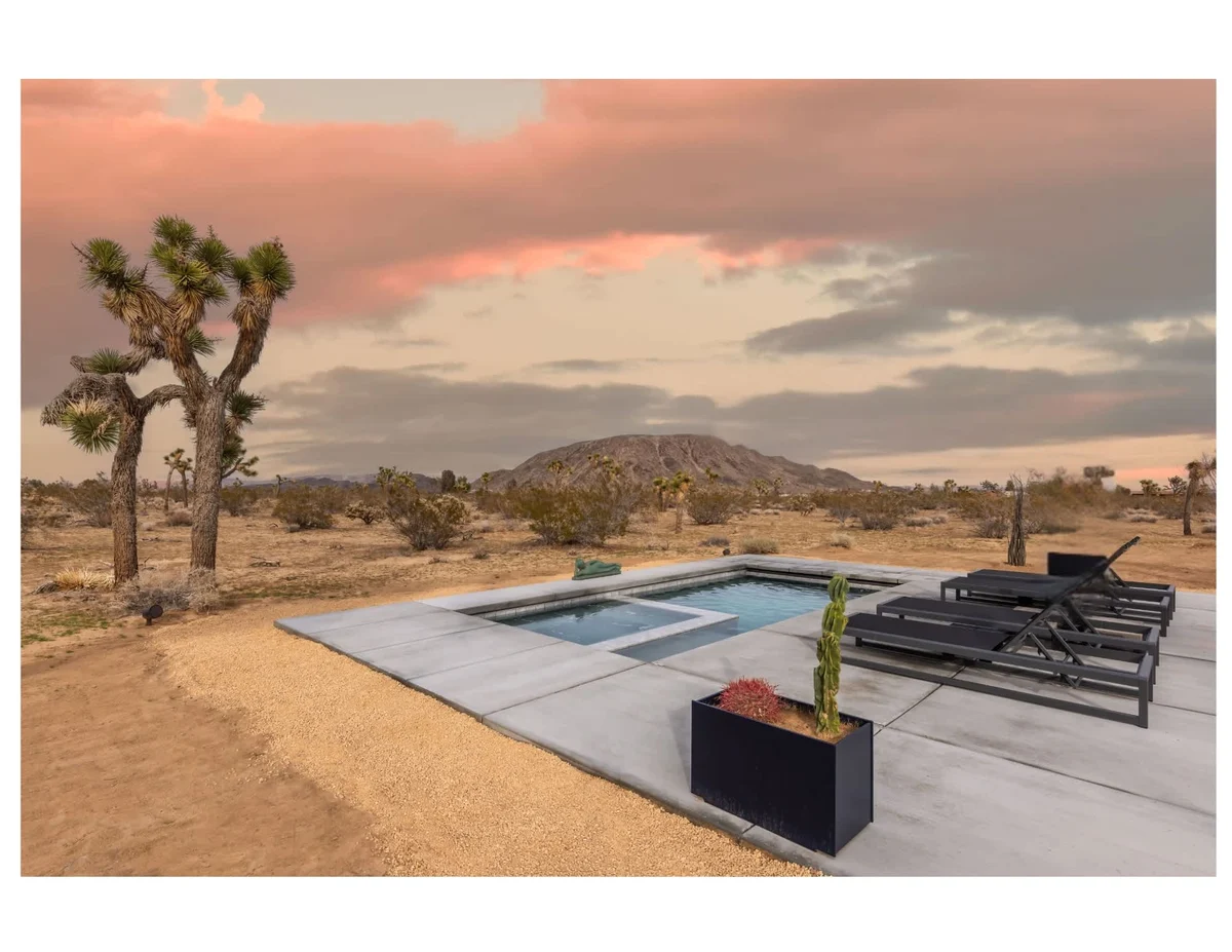 Wander Joshua Tree Spellbound #44