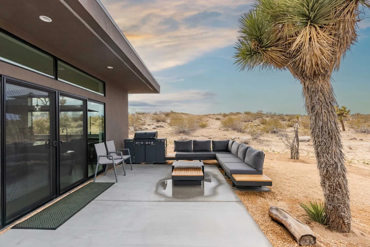 Wander Joshua Tree Spellbound #45