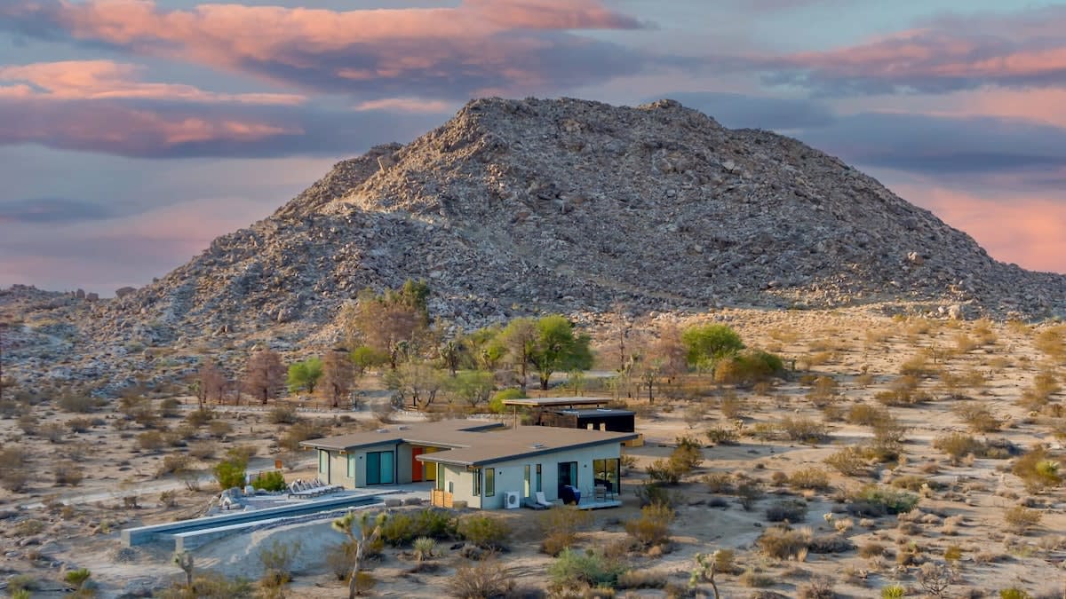 Wander Joshua Tree Horizon #79