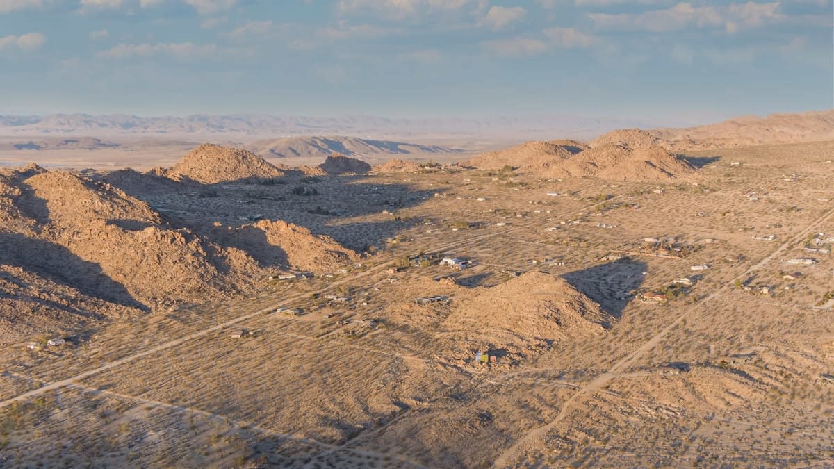 Wander Joshua Tree Horizon #105