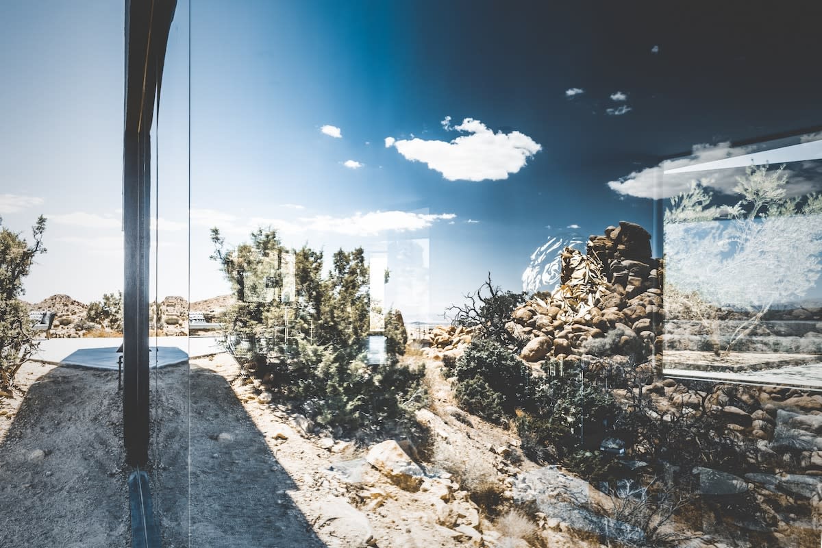 Wander Black Desert #118