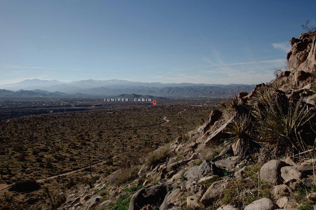 Wander Joshua Tree Mesa #46