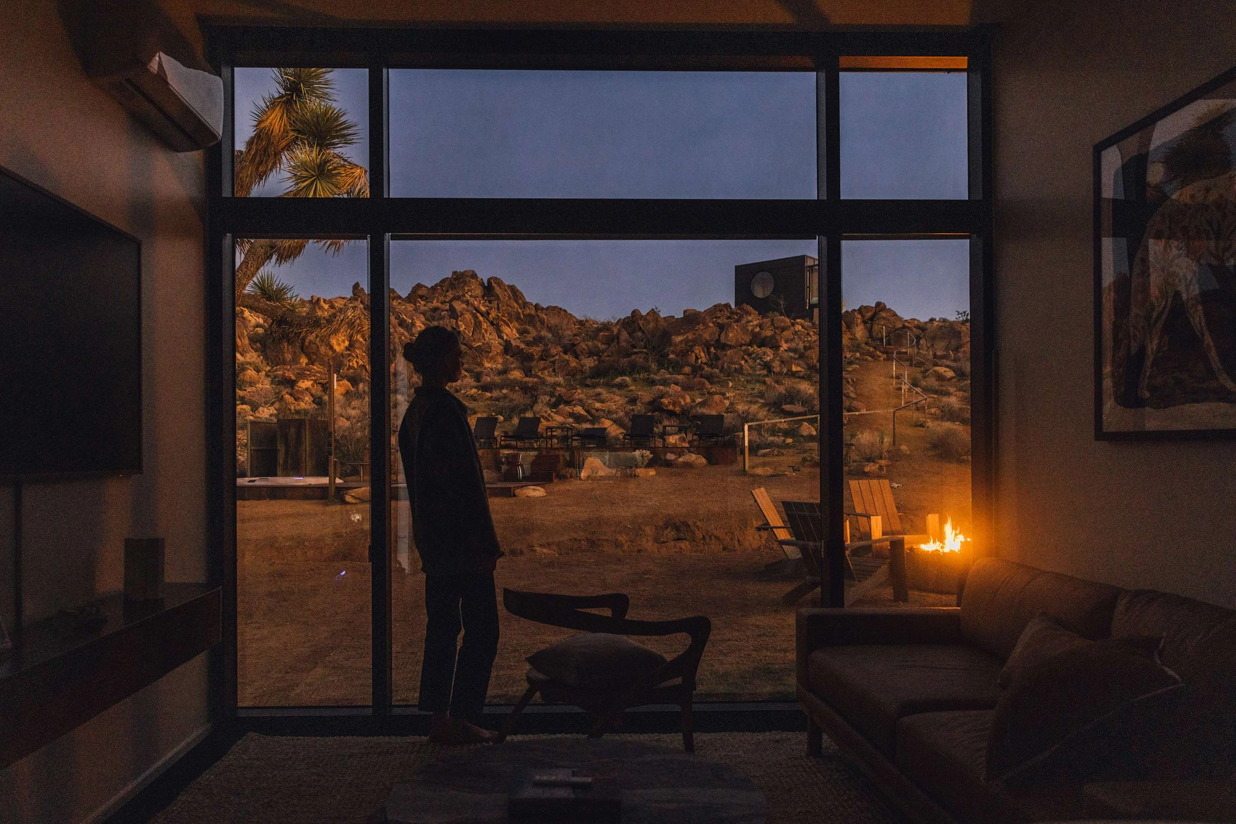 Wander Joshua Tree Acacia #52