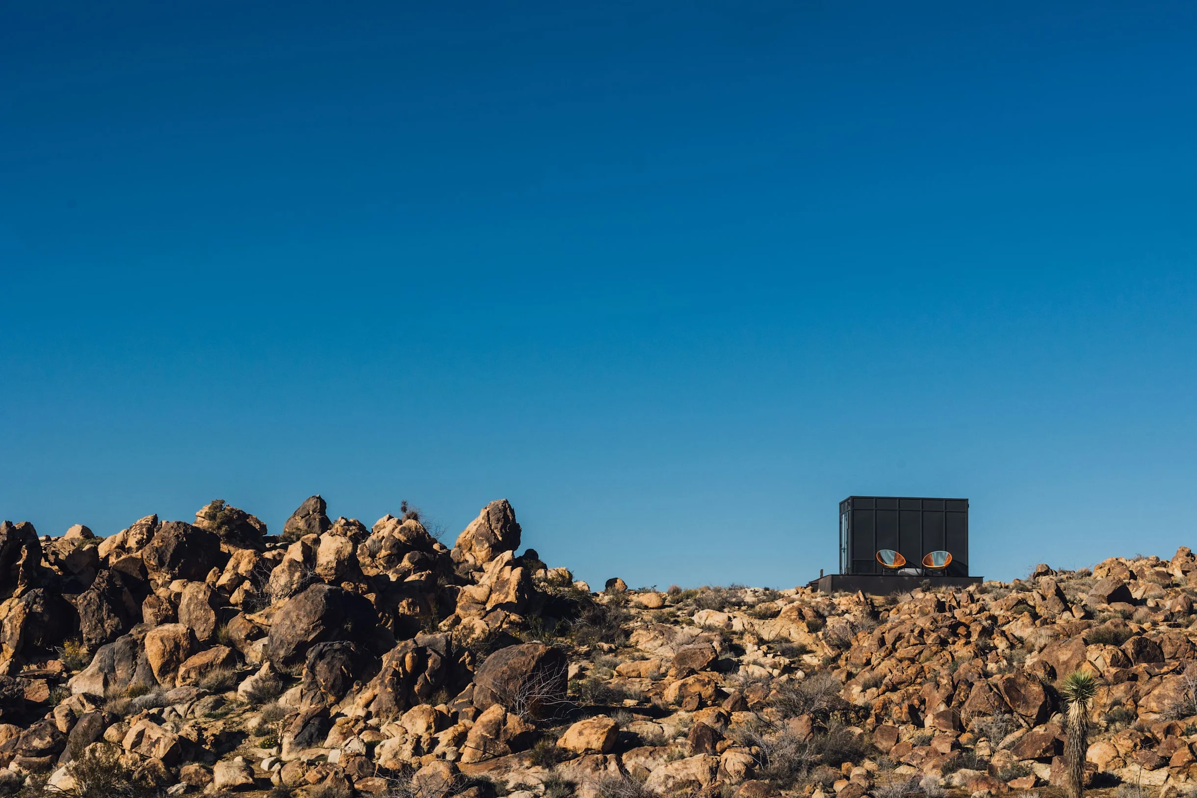 Wander Joshua Tree Acacia #78
