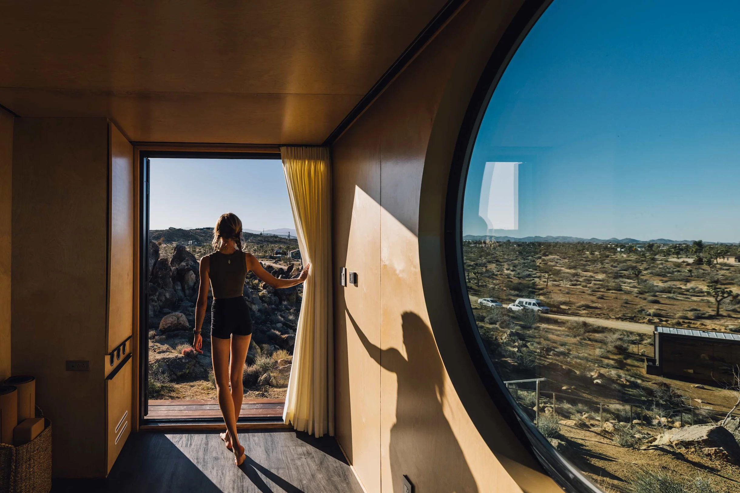 Wander Joshua Tree Acacia #72