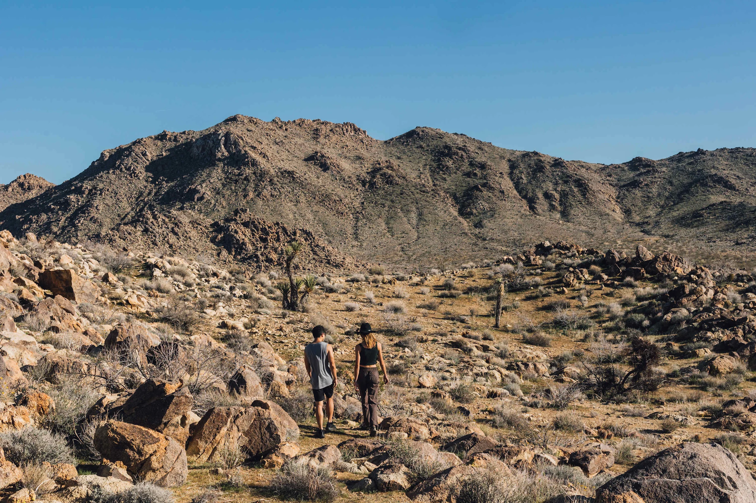 Wander Joshua Tree Acacia #102