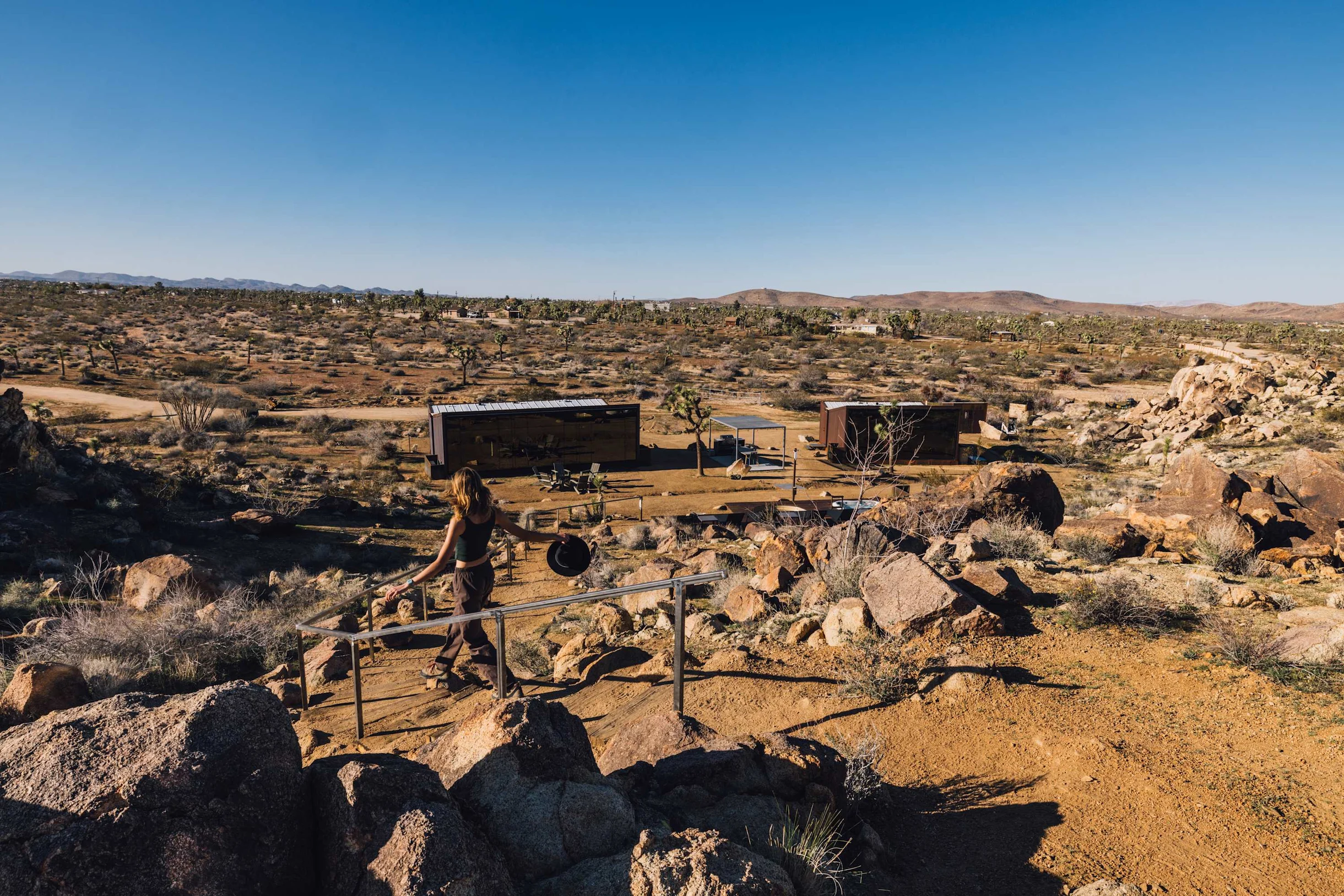 Wander Joshua Tree Acacia #79