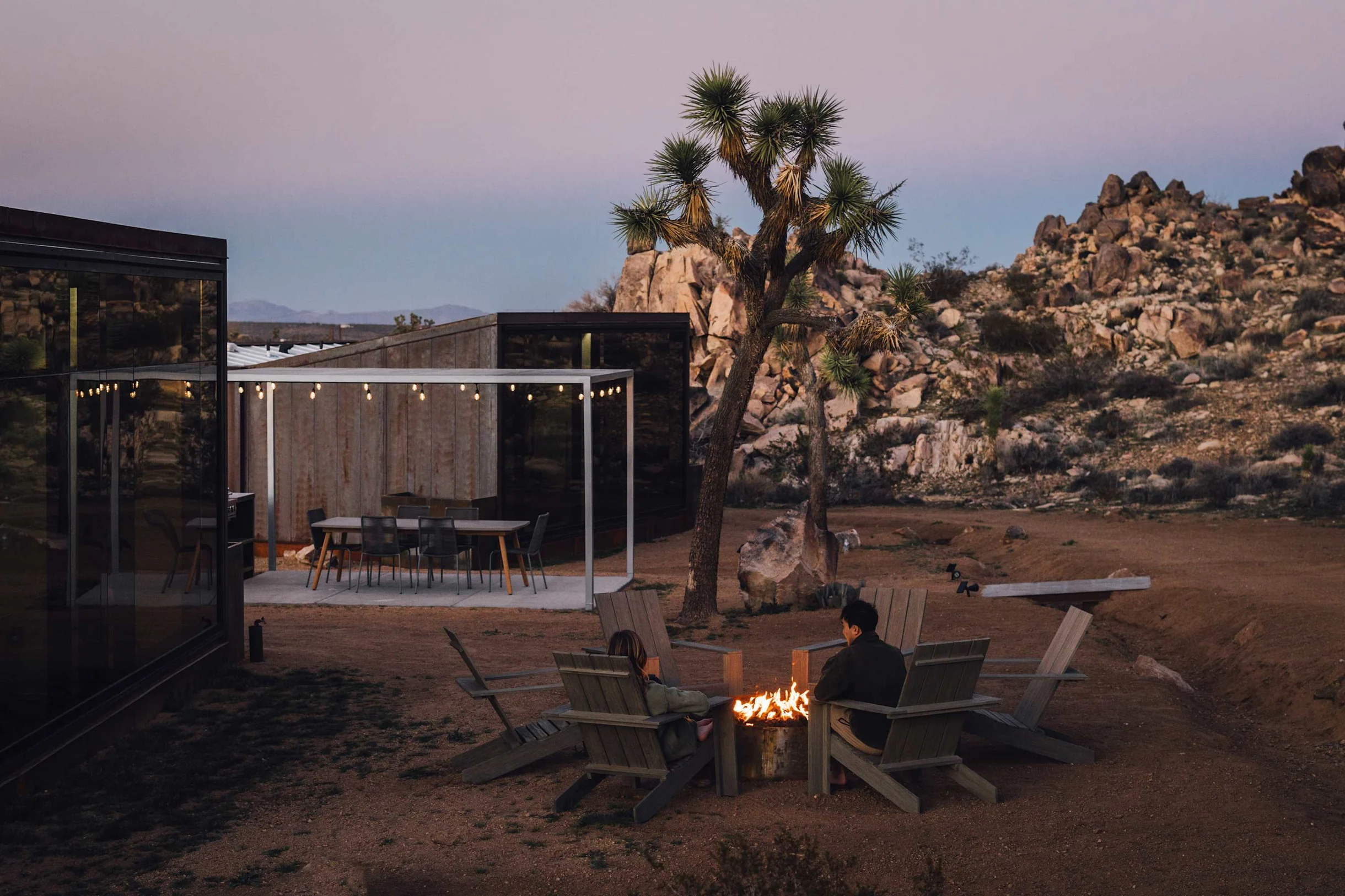 Wander Joshua Tree Acacia #143