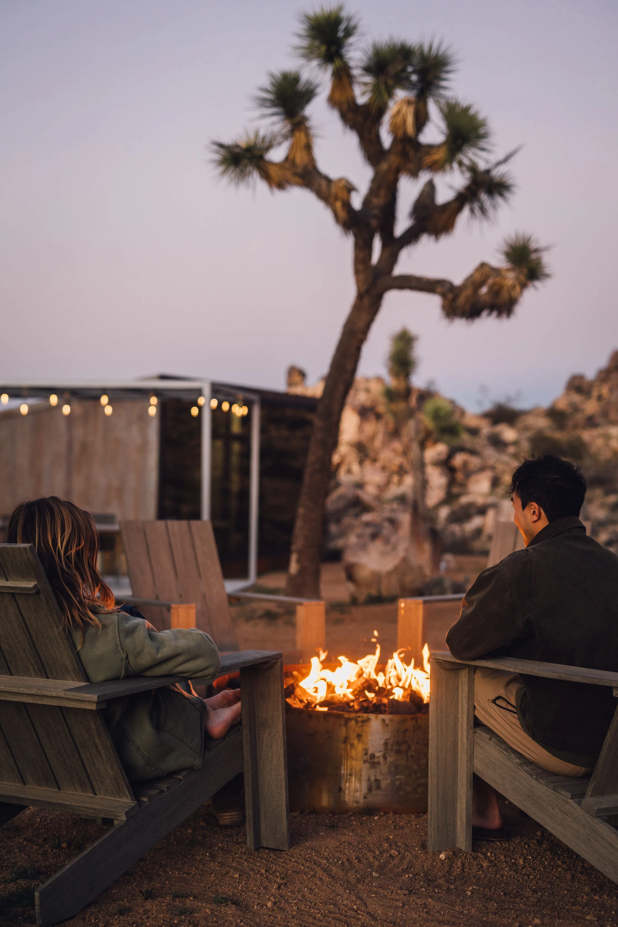 Wander Joshua Tree Acacia #131