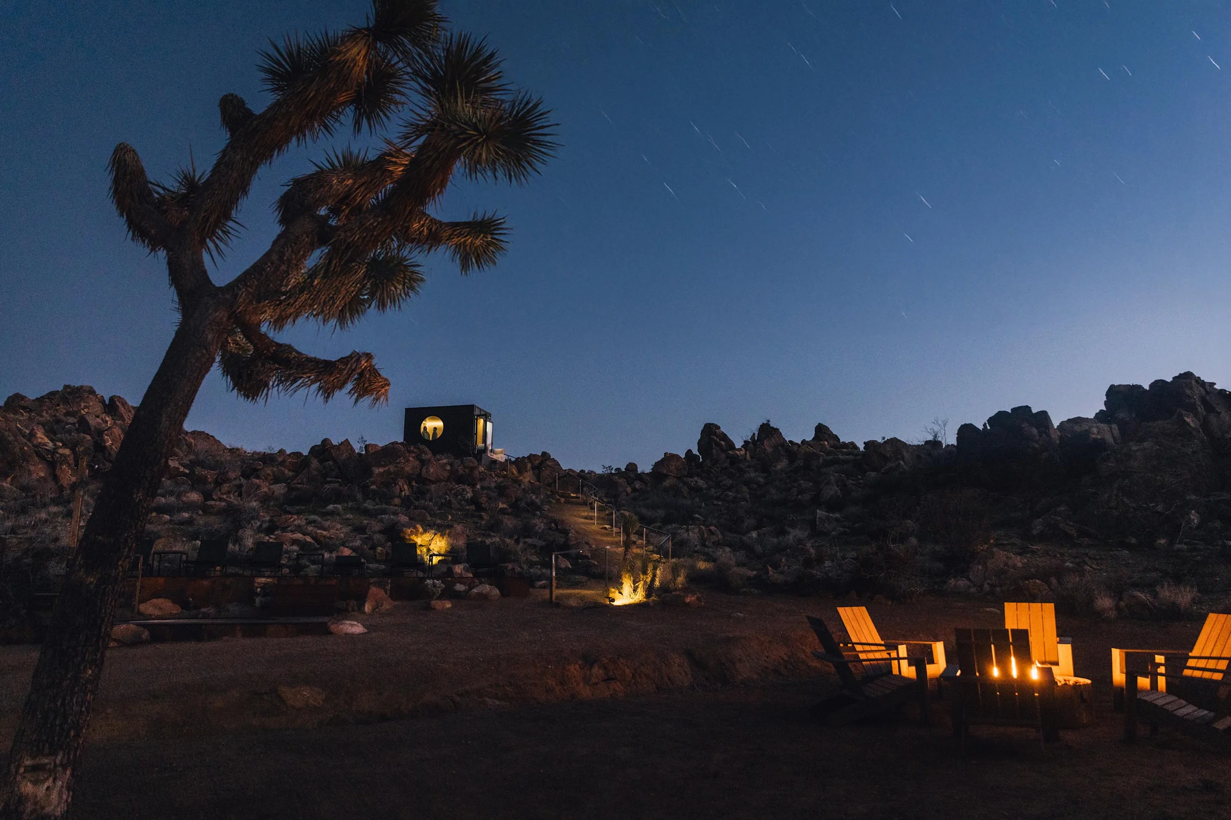 Wander Joshua Tree Acacia #144