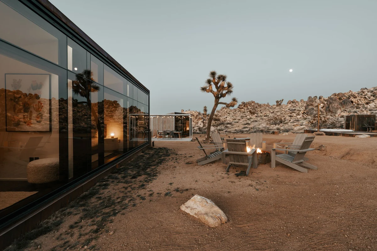 Wander Joshua Tree Acacia #116