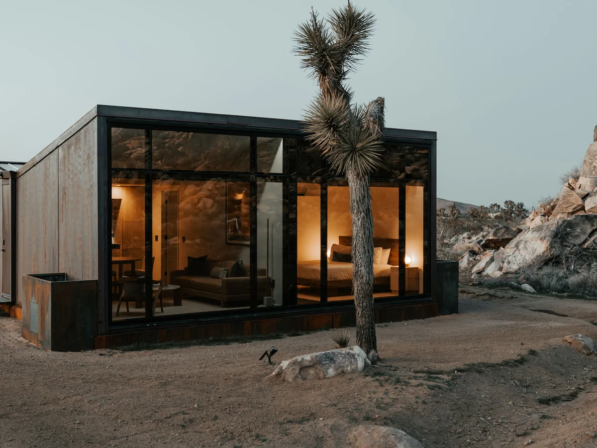 Wander Joshua Tree Acacia #117