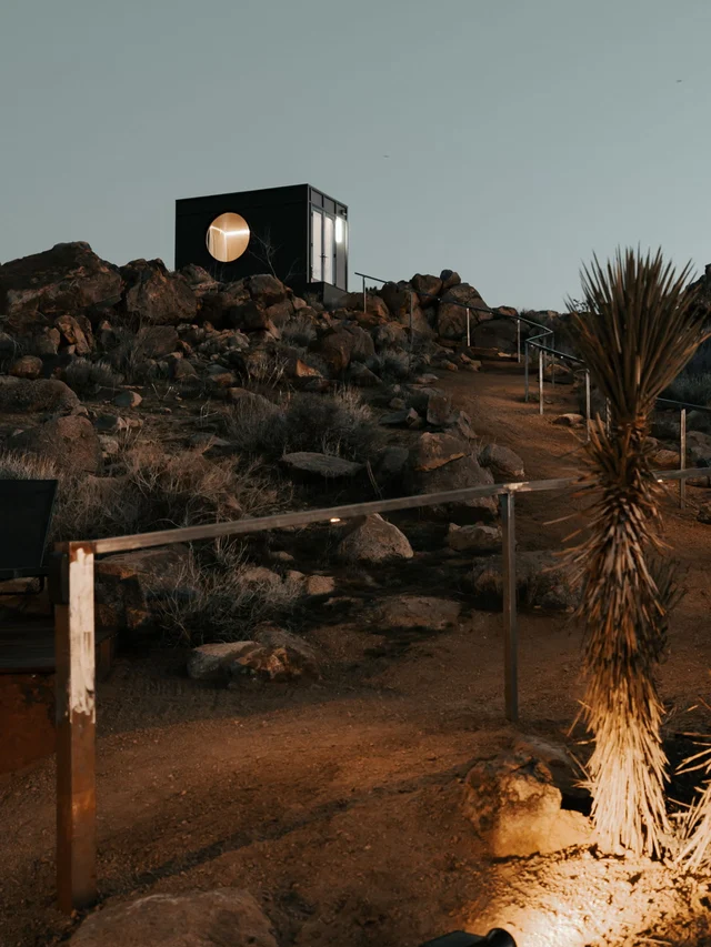 Wander Joshua Tree Acacia #133