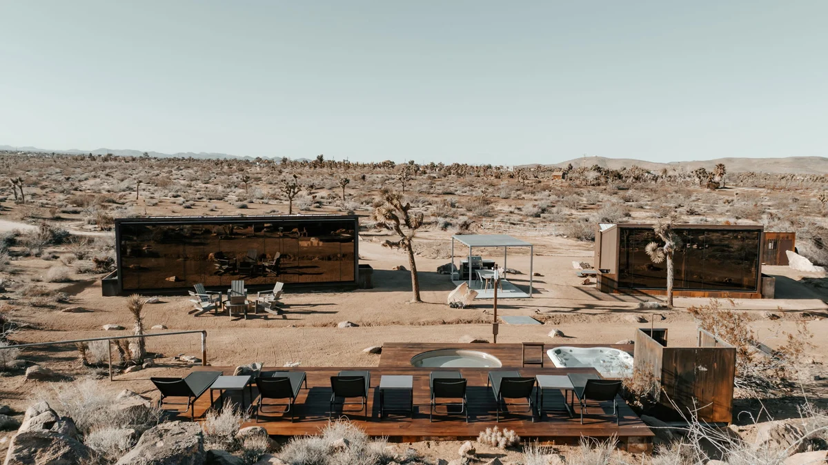 Wander Joshua Tree Acacia #136