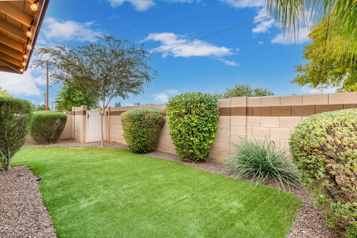 Wander Scottsdale Sapphire #66