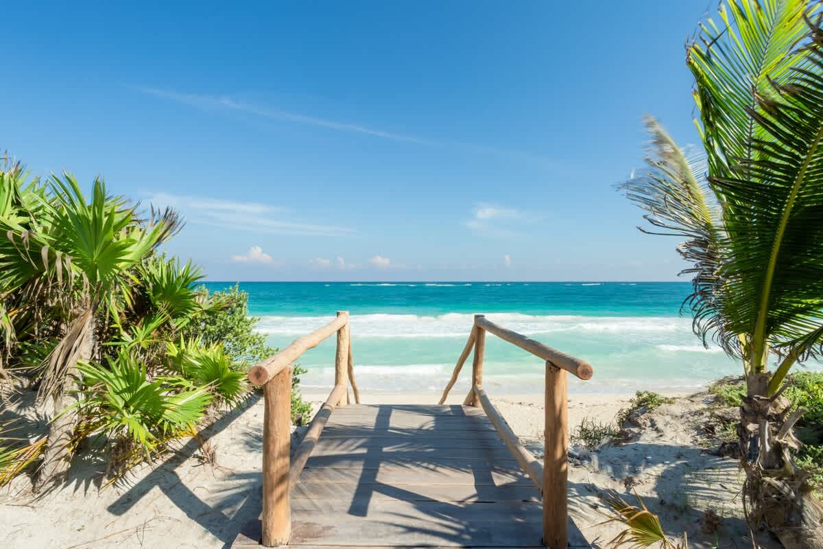 Wander Tulum Scenic #66