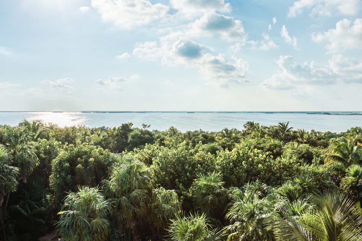 Wander Tulum Scenic #60