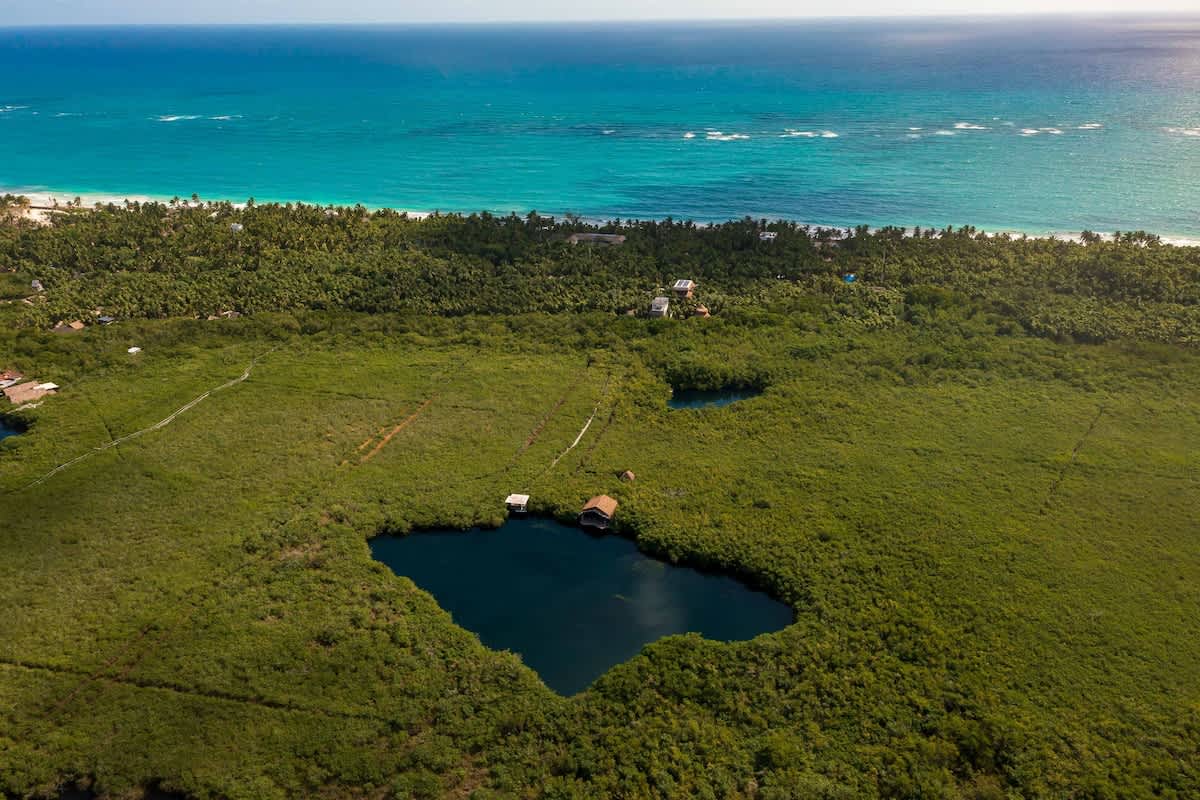 Wander Tulum Reserve #91