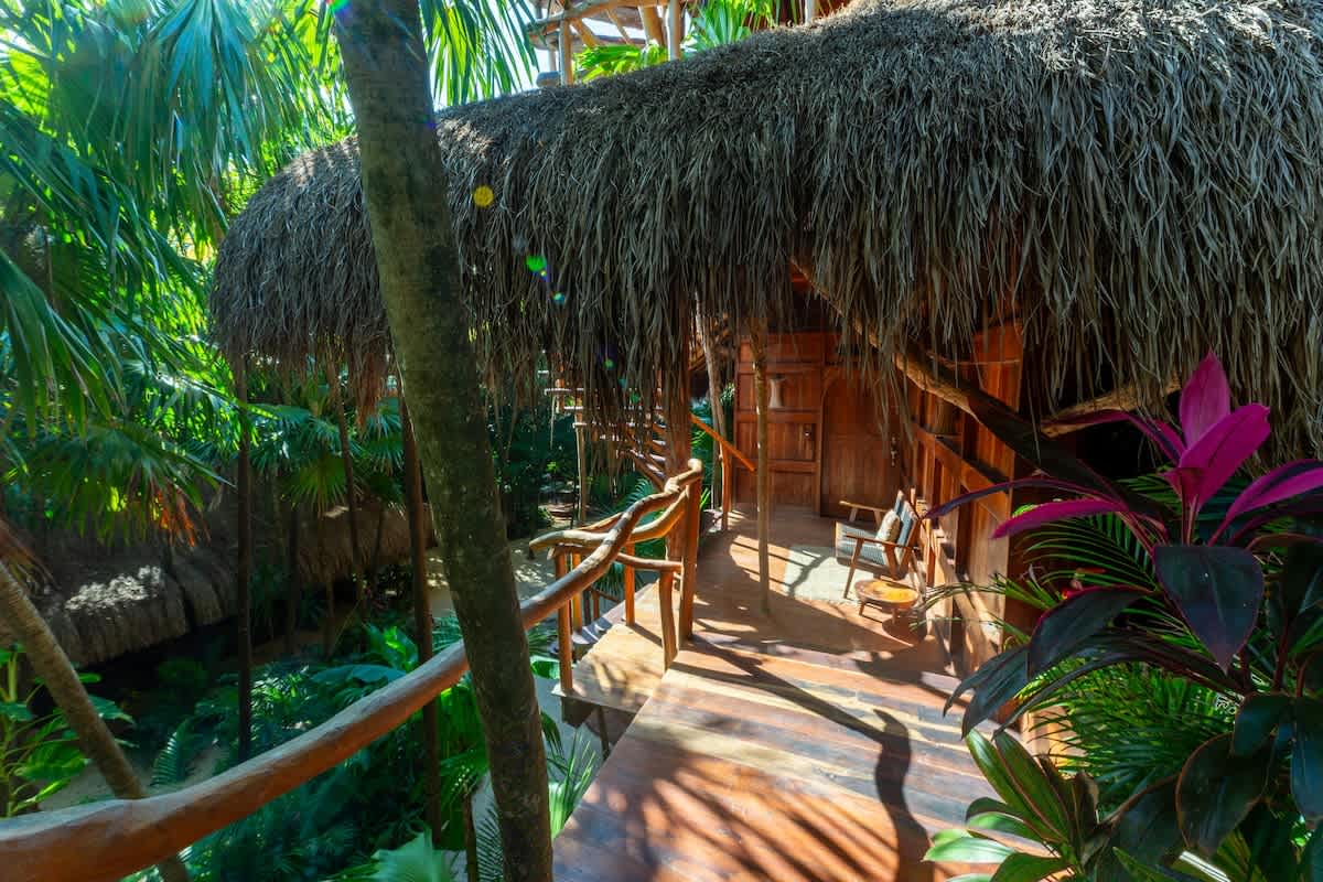 Wander Tulum Reserve #96