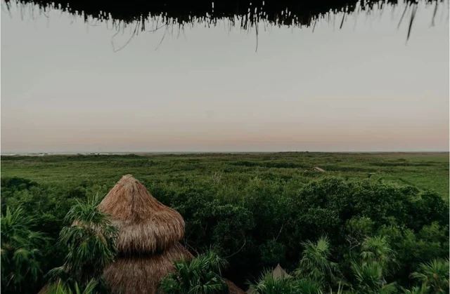 Wander Tulum Reserve #130