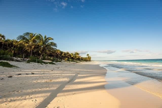 Wander Tulum Cabana #51