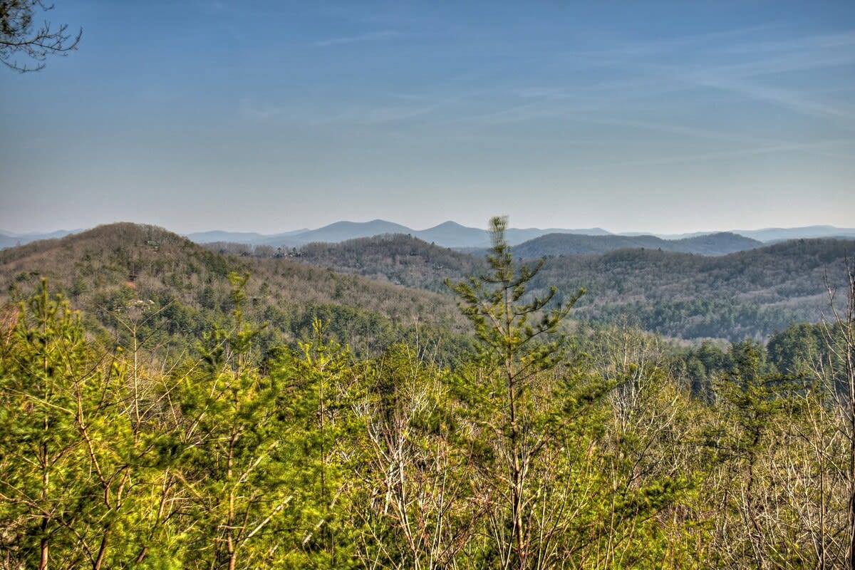 Wander Georgia Canopy #89