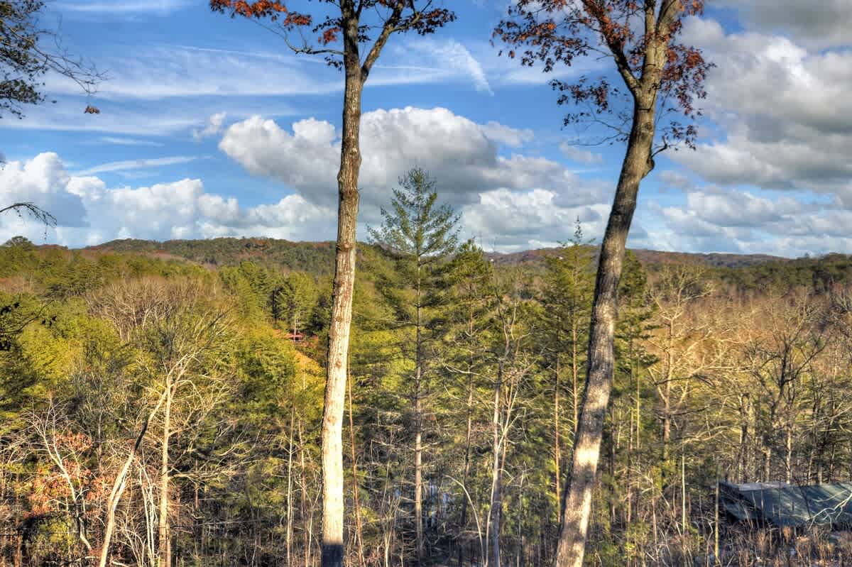 Wander Blue Ridge Stream #121