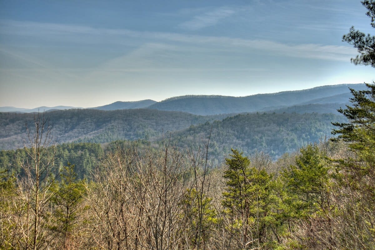 Wander Georgia Canopy #114