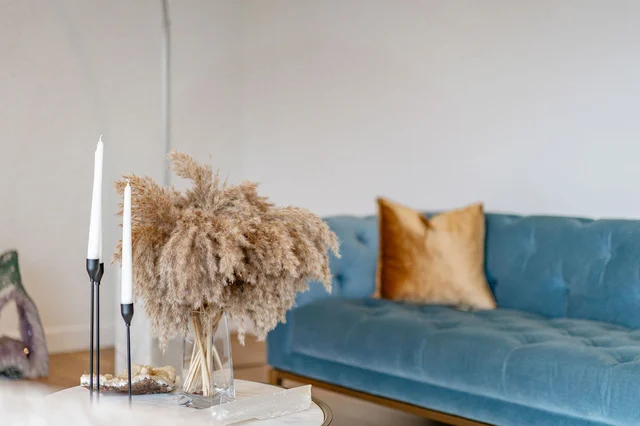 Wander San Diego Canopy #83