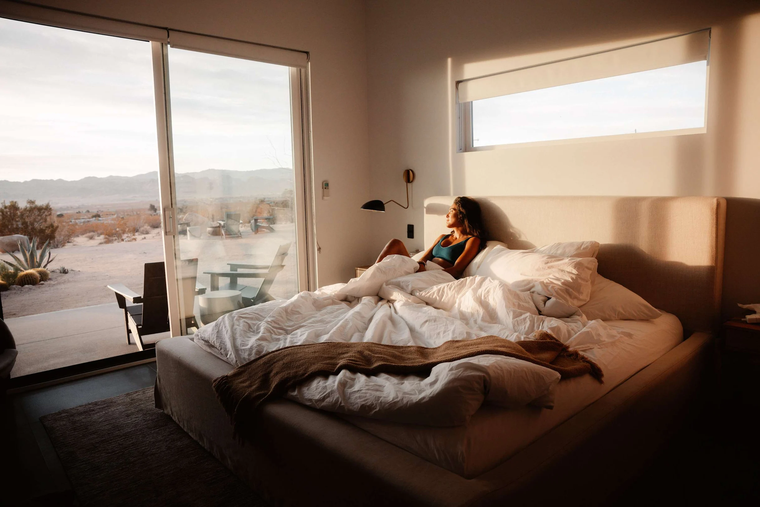 Wander Joshua Tree Panorama #56