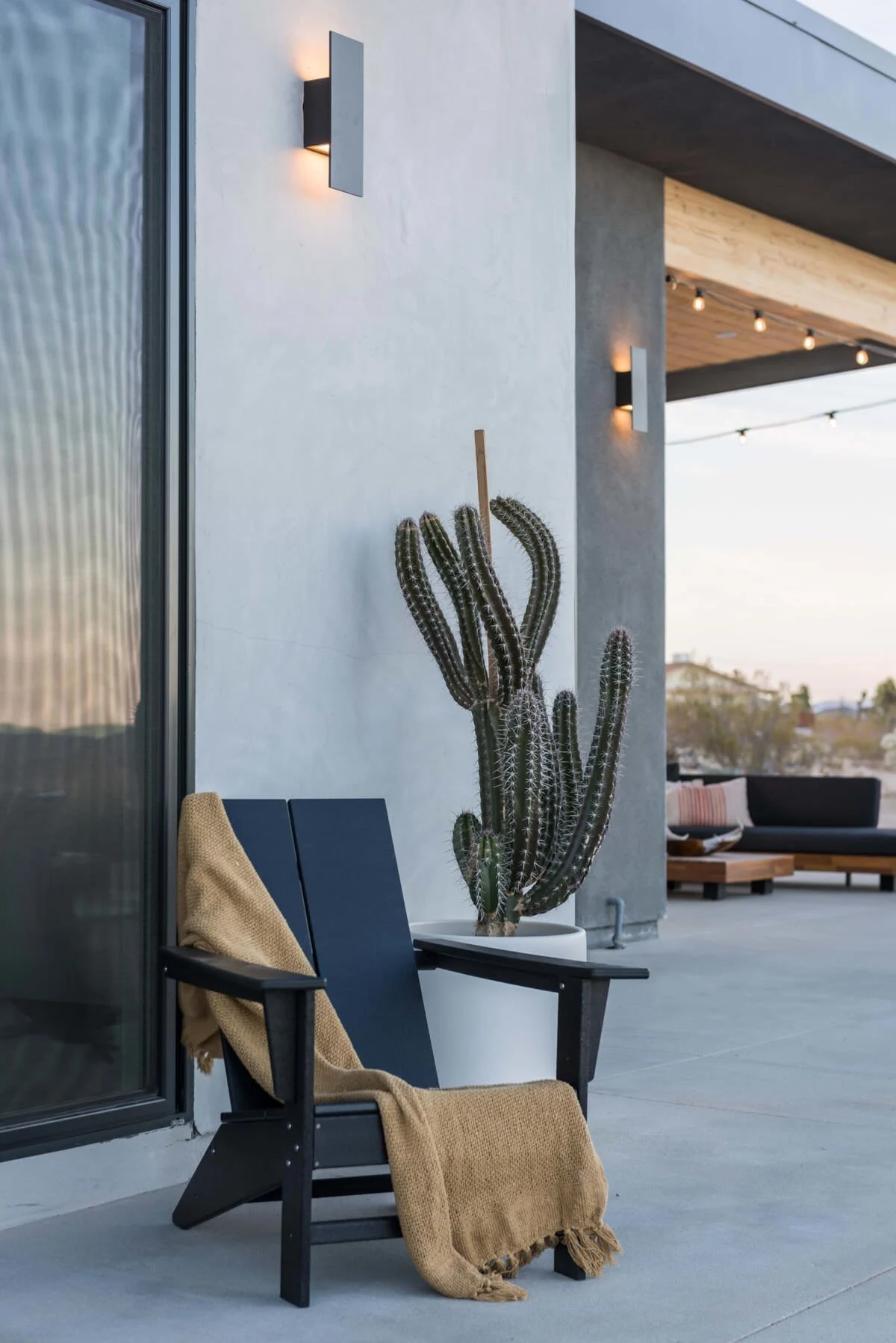 Wander Joshua Tree Panorama #116