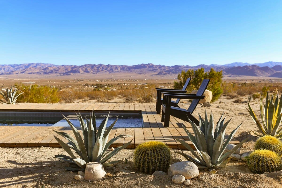 Wander Joshua Tree Panorama #61