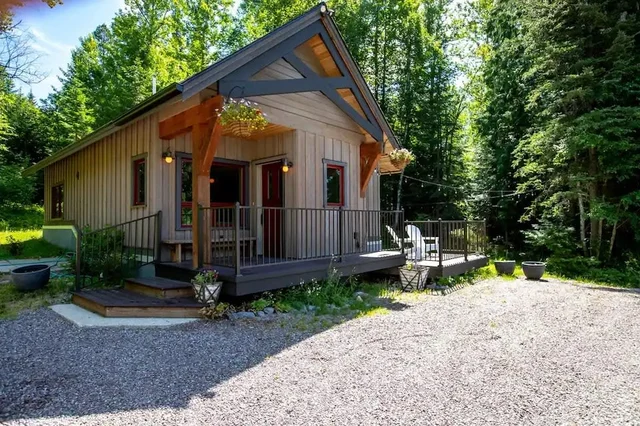 Wander Whitefish Timber #65
