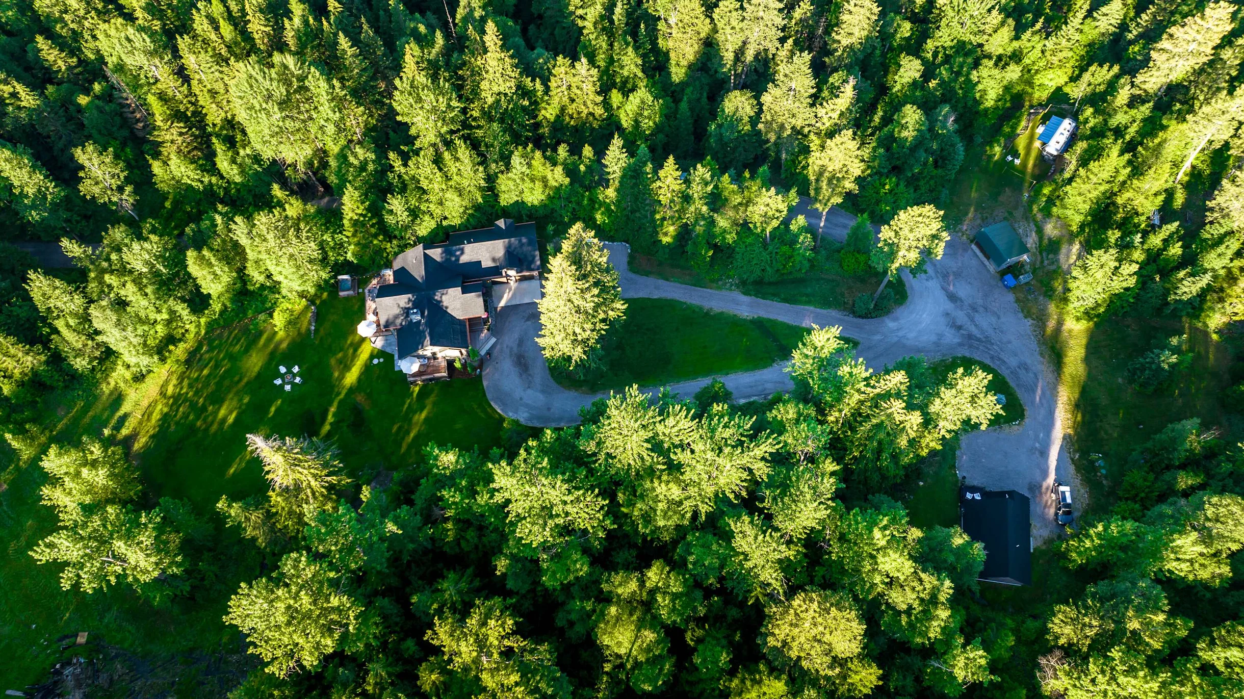 Wander Whitefish Timber #88