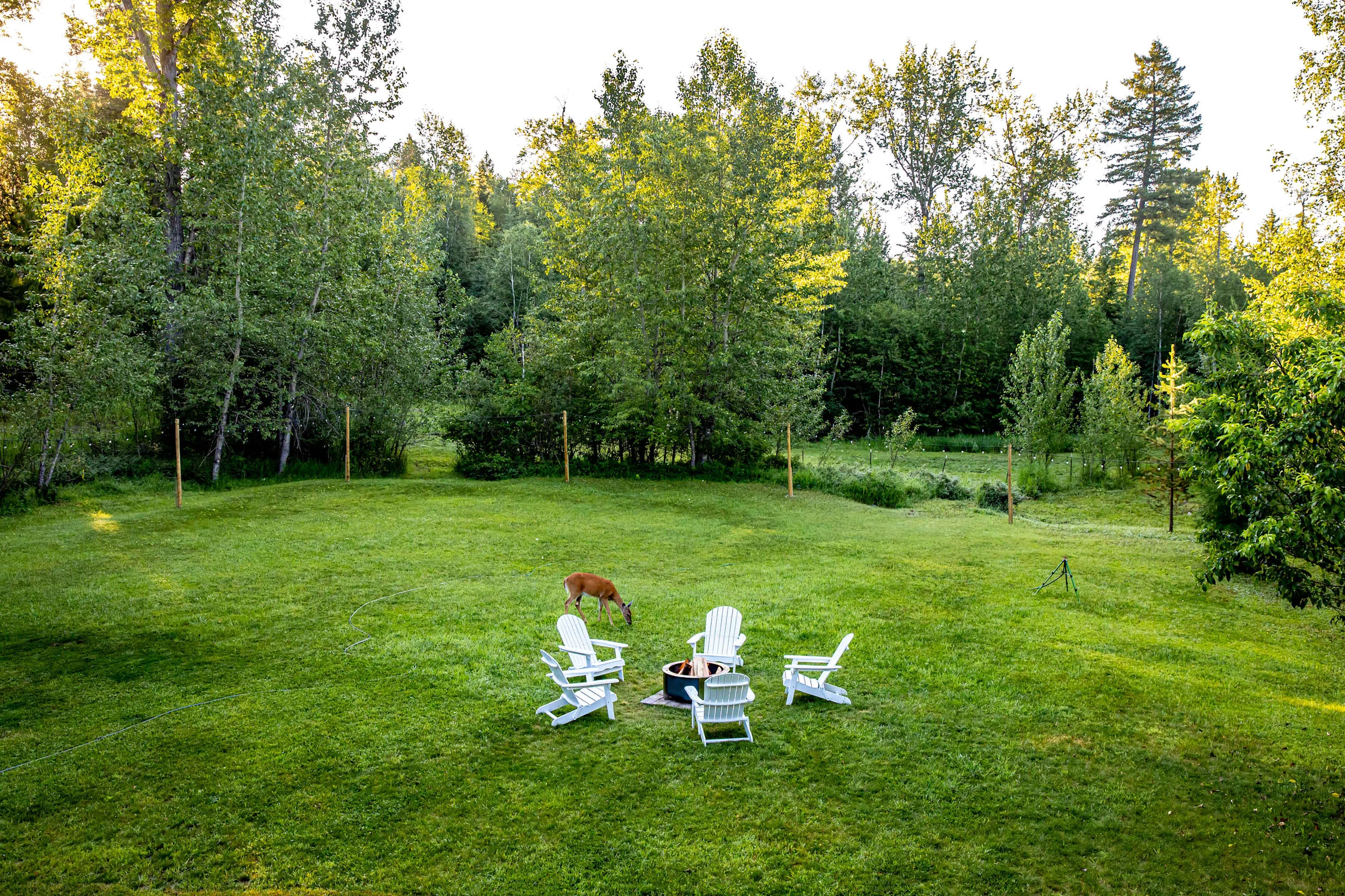 Wander Whitefish Timber #91