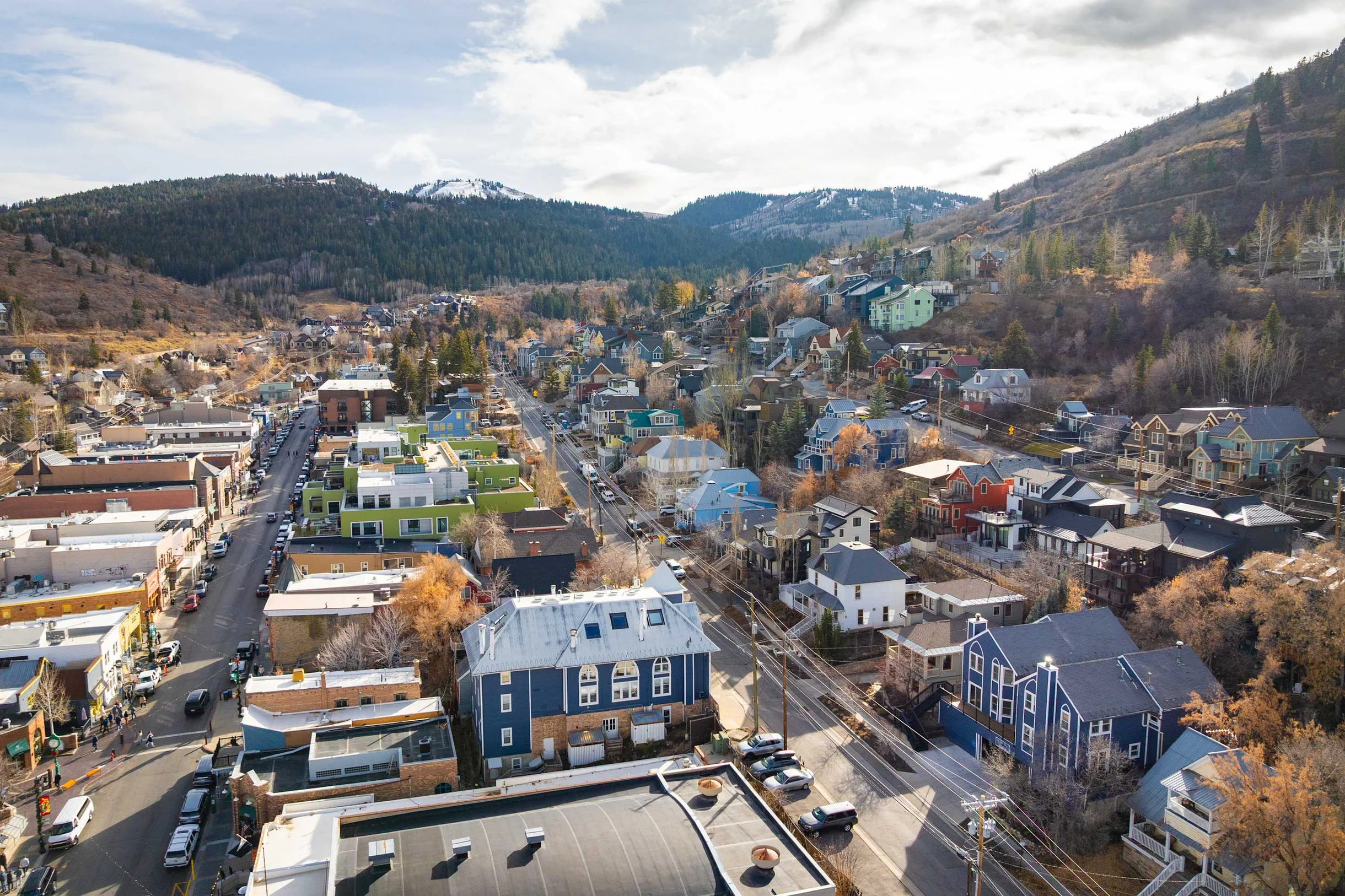 Wander Park City Treeview #36