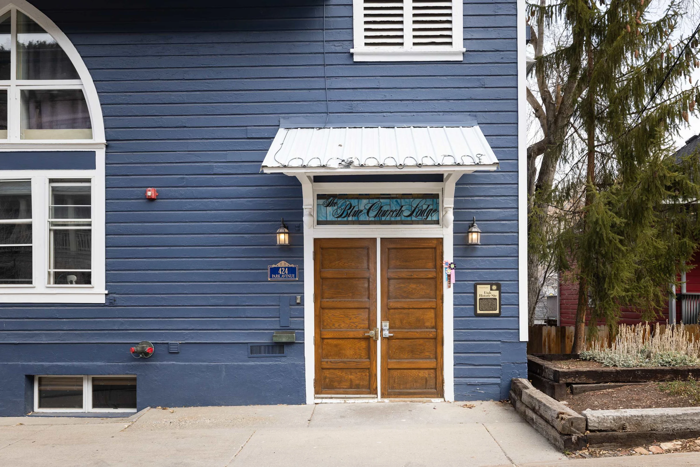 Wander Park City Treeview #35