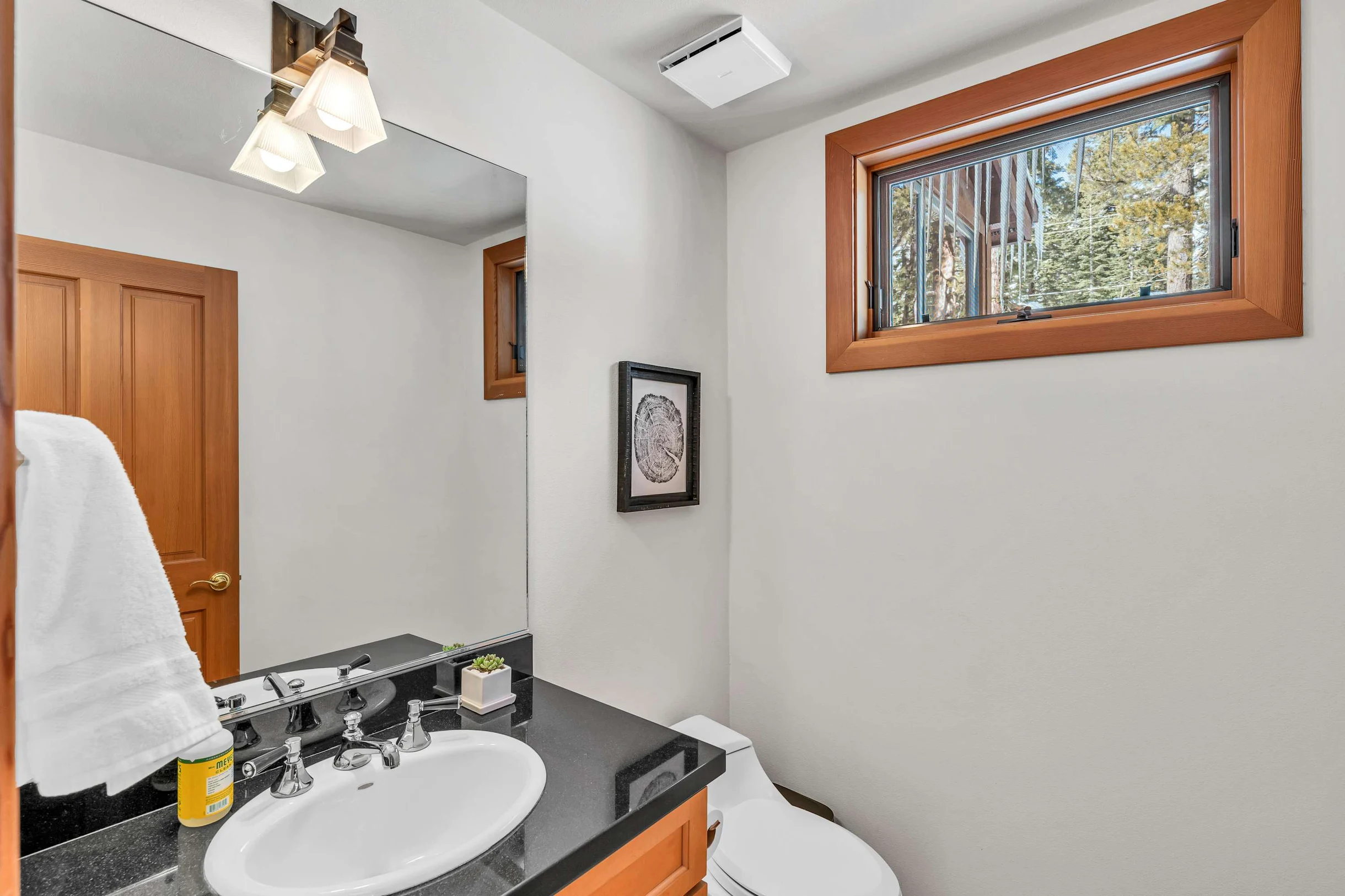 Wander Alpine Meadows #47