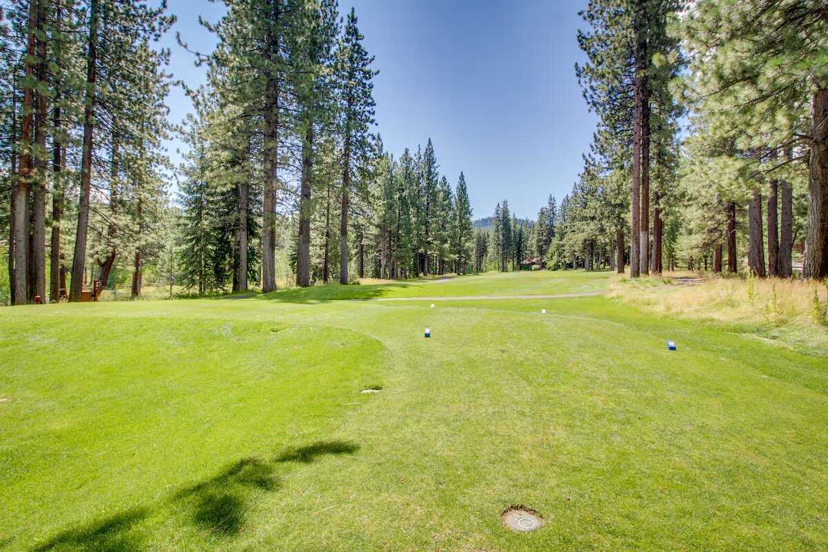 Wander Truckee Nest #86