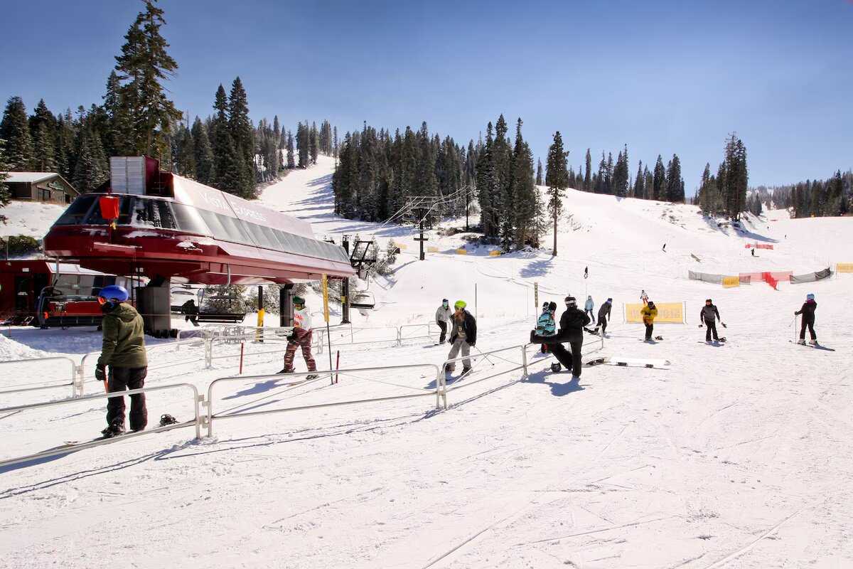 Wander Truckee Nest #84