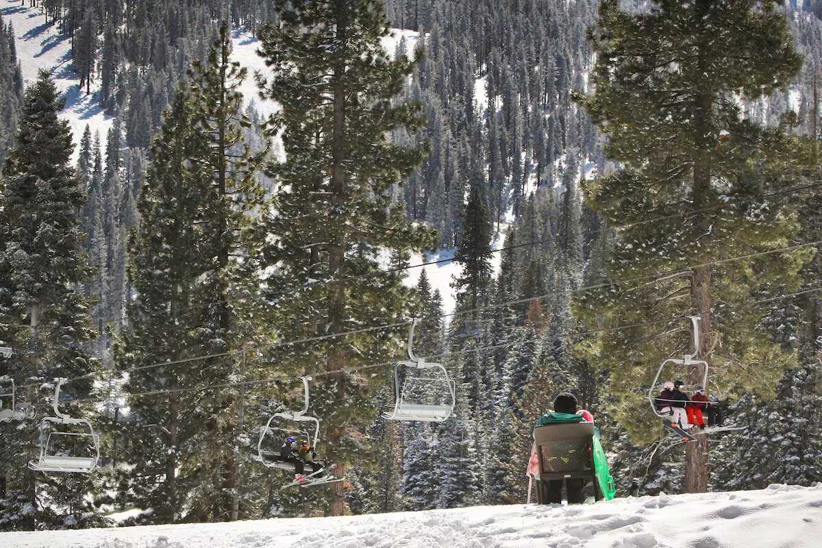 Wander Truckee Nest #81