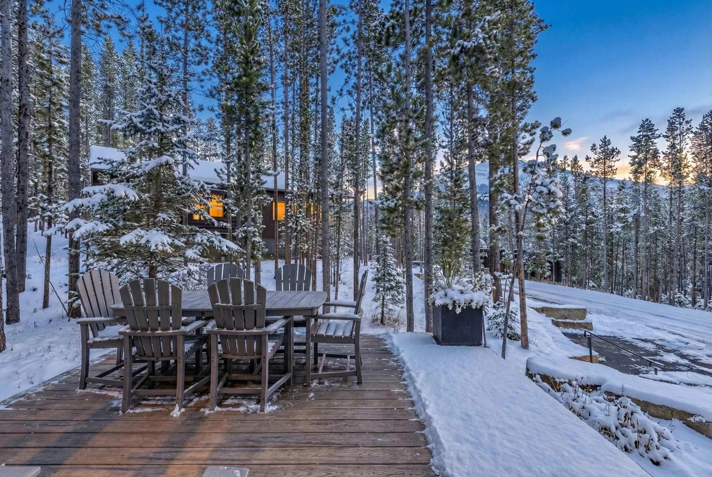 Wander Big Sky Spruce #64