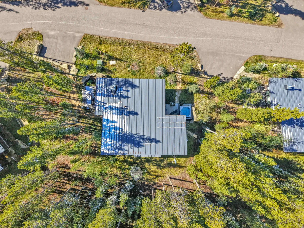 Wander Big Sky Spruce #79