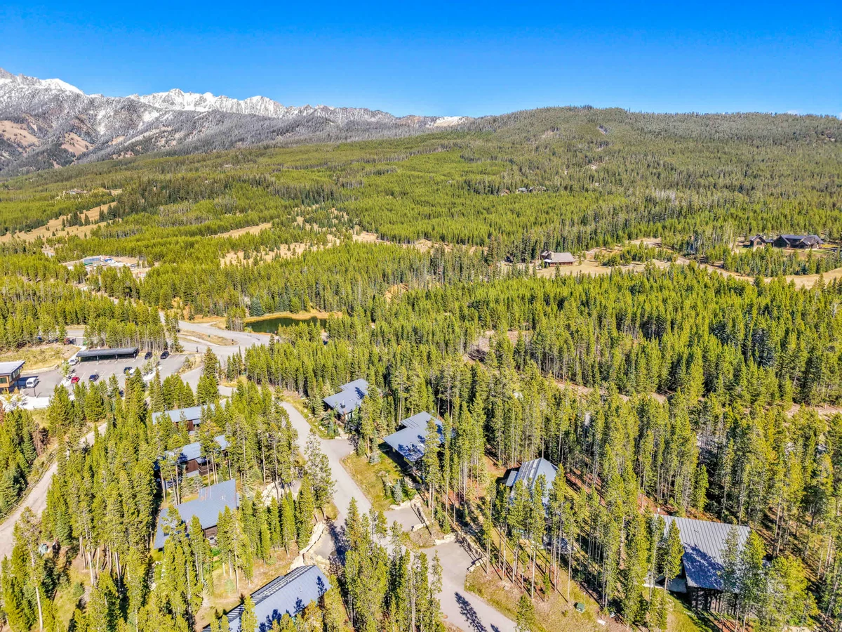 Wander Big Sky Spruce #71