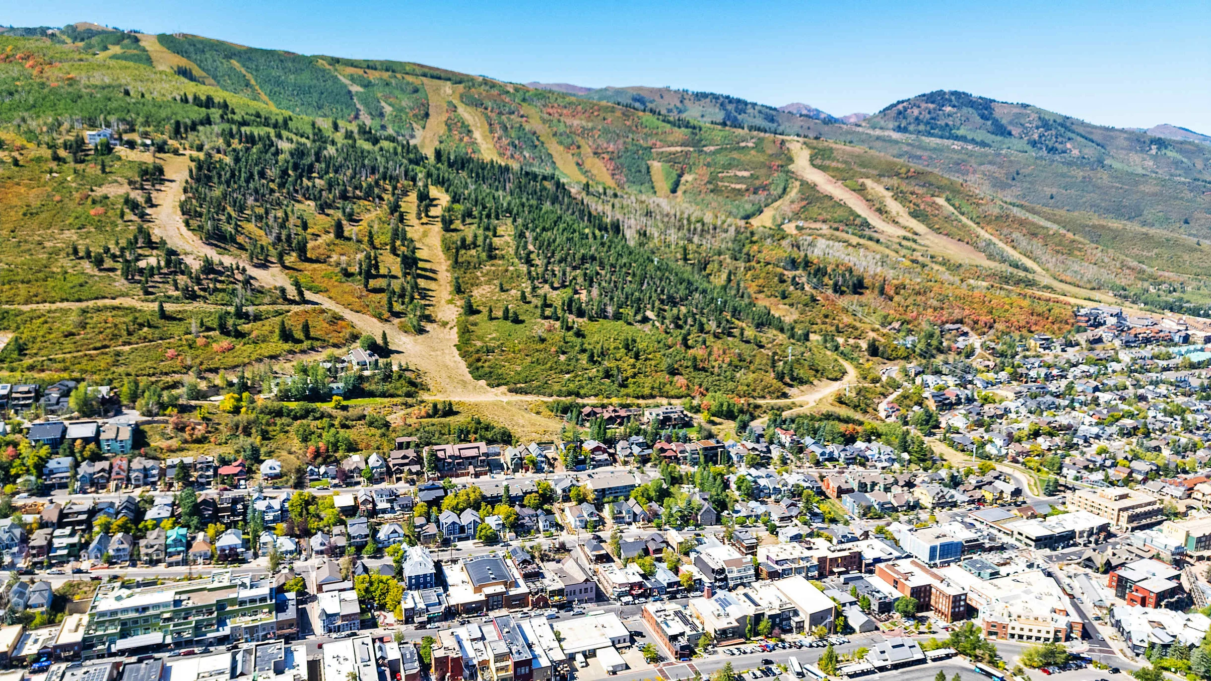 Wander Park City Mode #85