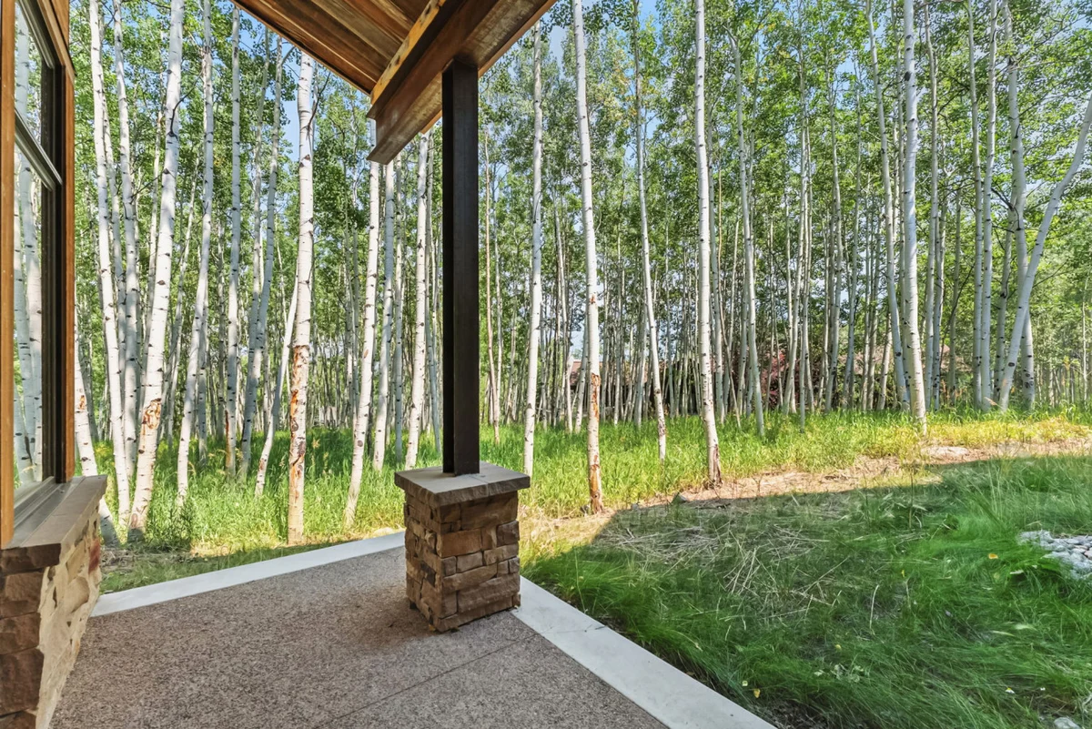Mountain Dream Home #121