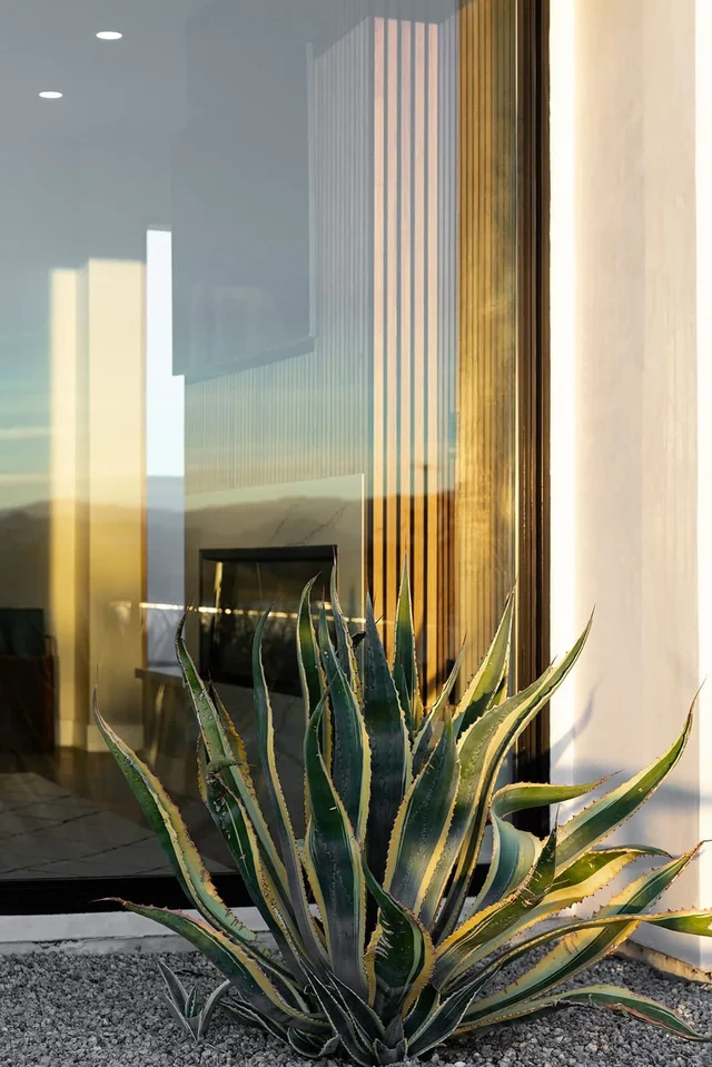 Wander High Desert Haven #78