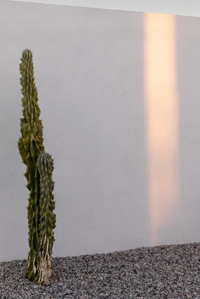 Wander High Desert Haven #73