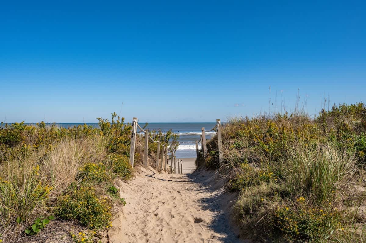 Wander Corolla Shores #71